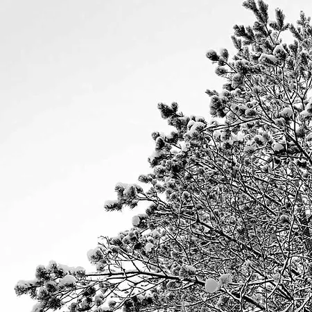 Nuuksio - Conferences And Events